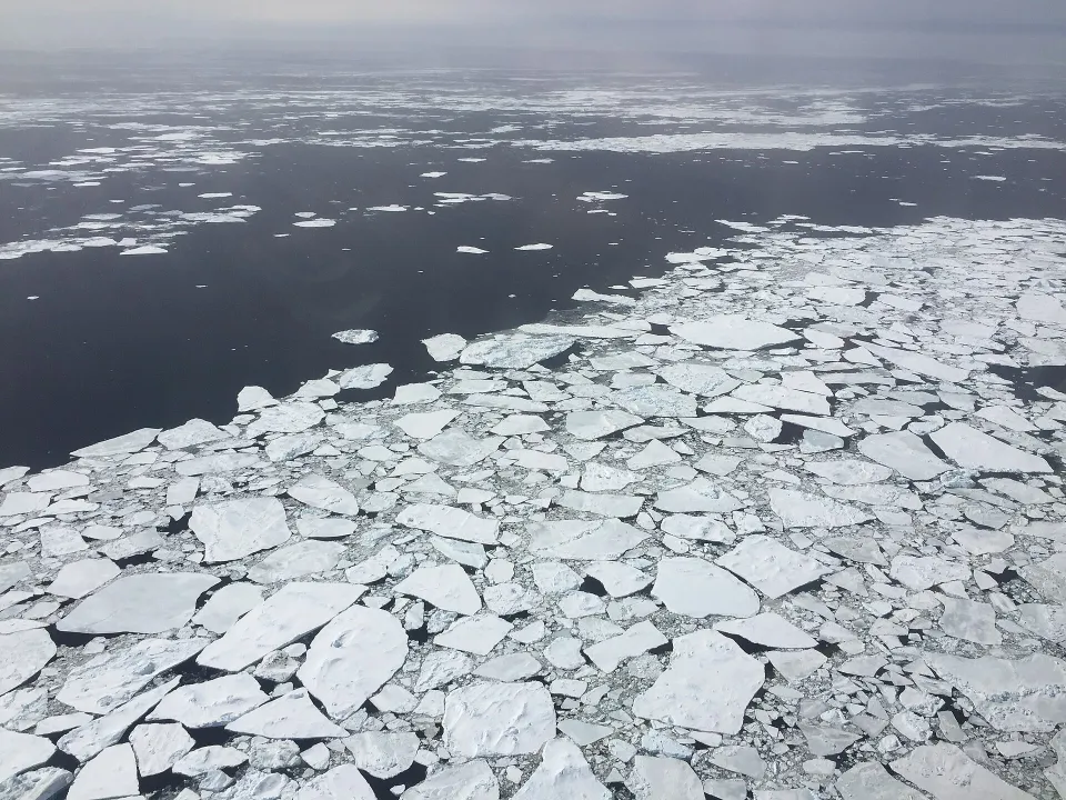Множество белых льдин, раздробленных на мелкие куски, на тёмной воде