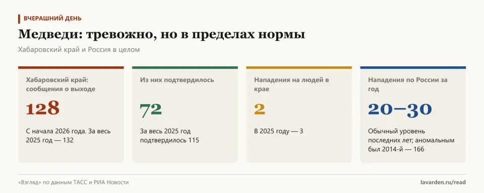 Карточки: 128 сообщений о выходе медведей с начала 2026 года, 72 подтверждены, 2 нападения; по России обычно 20–30 нападений в год