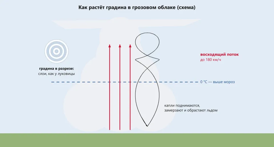 Грозовое облако-наковальня, внутри красные стрелки восходящего потока, пунктир нулевой температуры, петляющий путь градины и градина в разрезе со слоями