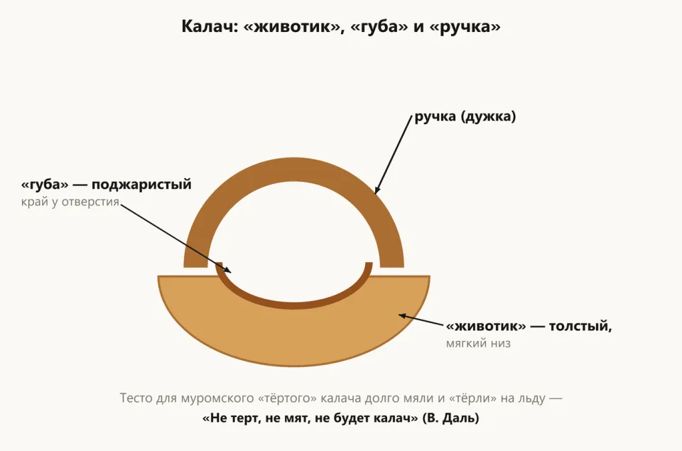 Схема калача: толстый «животик», поджаристая «губа» у отверстия и тонкая «ручка»