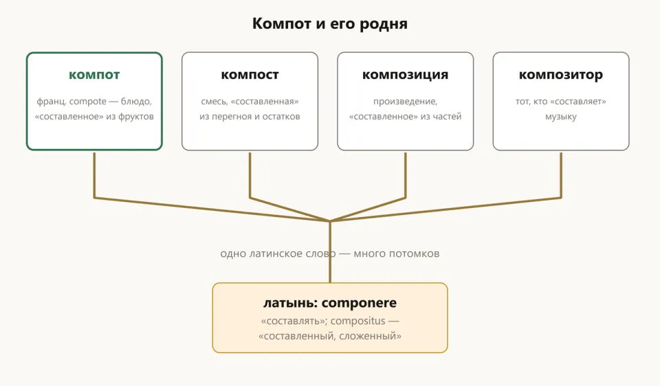 Дерево слов: от латинского componere — компот, компост, композиция, композитор