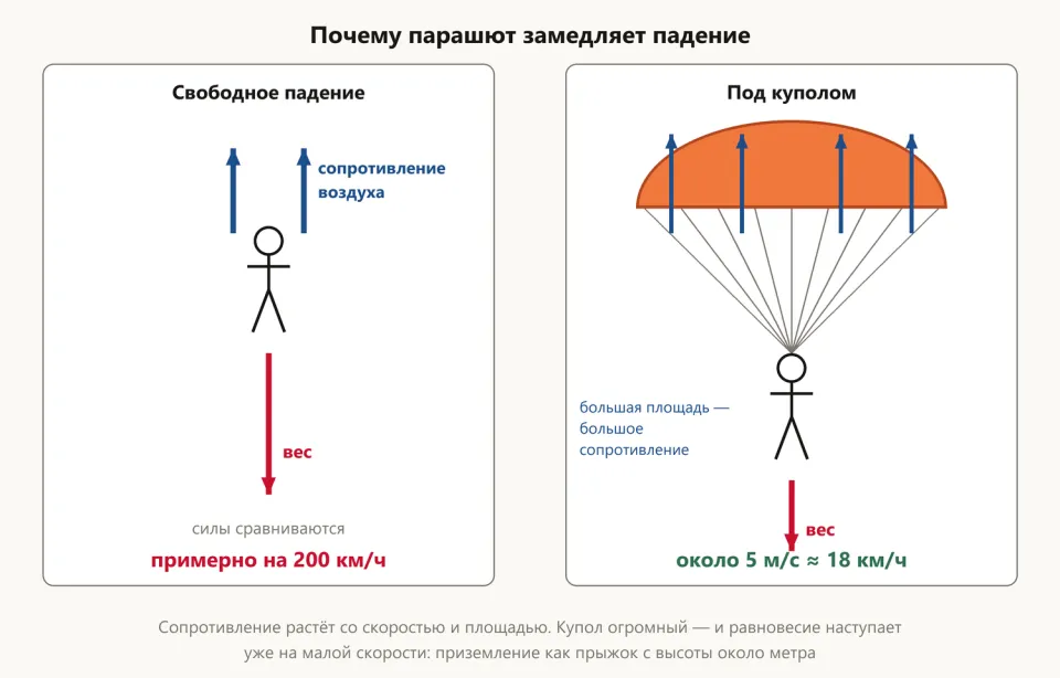 Две схемы: в свободном падении вес уравновешивается примерно на 200 км/ч, под куполом — около 5 м/с