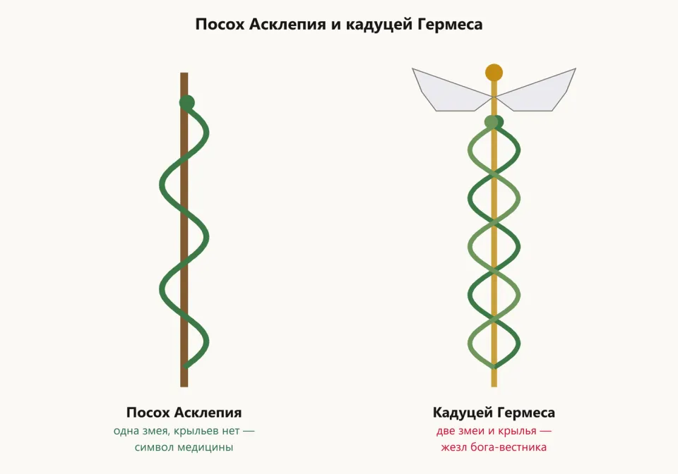 Слева посох с одной змеёй, справа жезл с двумя змеями и крыльями