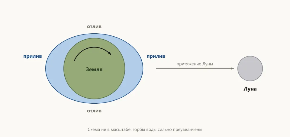 Земля в голубой оболочке океана, вытянутой в овал: один горб обращён к Луне справа, другой — в противоположную сторону; вверху и внизу отливы