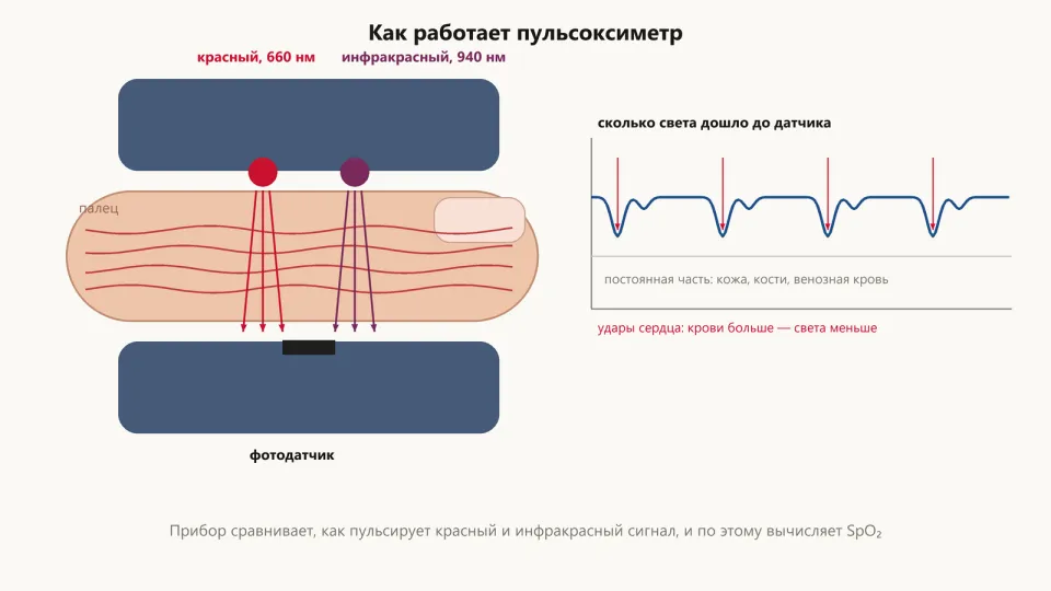 Схема пульсоксиметра: красный и инфракрасный светодиоды над пальцем, фотодатчик под ним и пульсирующий сигнал