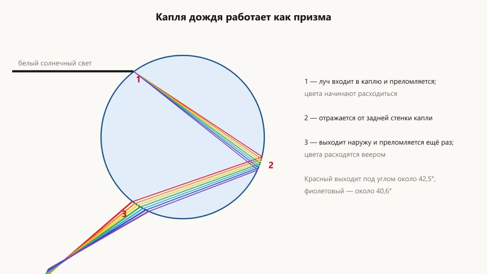 Круглая капля: белый луч входит сверху слева, разлагается на цвета, отражается от задней стенки и выходит снизу веером разноцветных лучей