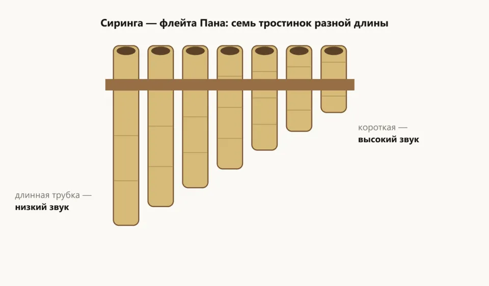 Семь тростниковых трубок разной длины, скреплённых поперечной планкой; слева подпись «длинная трубка — низкий звук», справа «короткая — высокий звук»