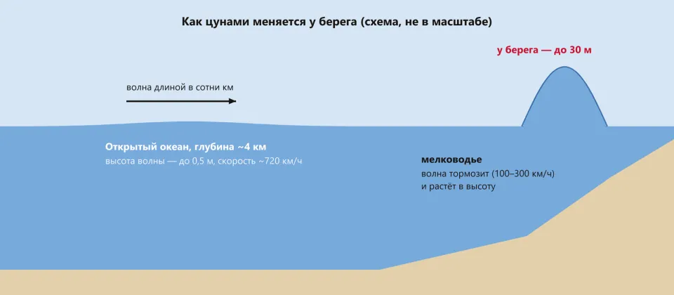 Разрез океана: в открытом море над глубиной 4 км едва заметная пологая волна, у берега на мелководье высокий горб волны; подписаны скорости 720 и 100–300 км/ч