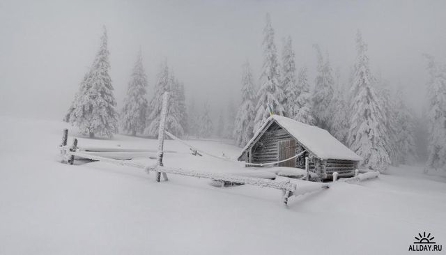 Хижина в зимнем лесу