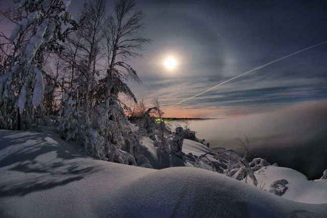 Луна над заснеженным полем