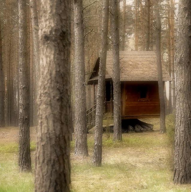 Миниатюрный домик в лесу