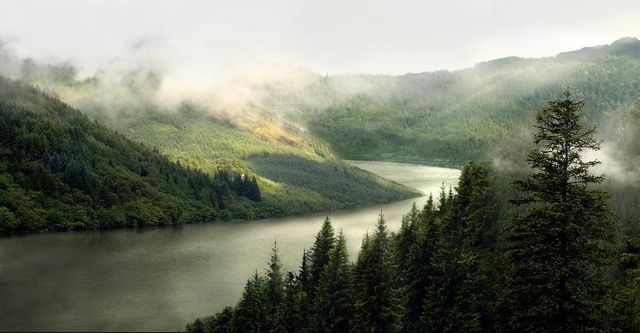 Речная долина в тумане