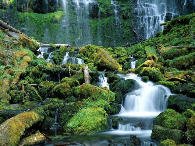 Водопад среди мха