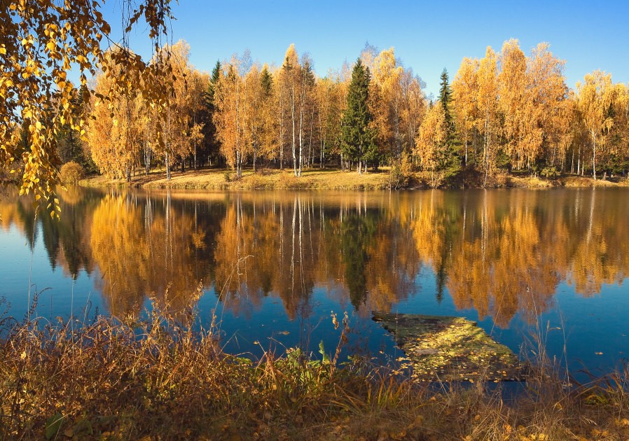 Золотая осень у озера